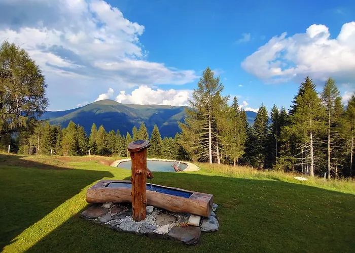 Kerschbaumer Apartment Predlitz